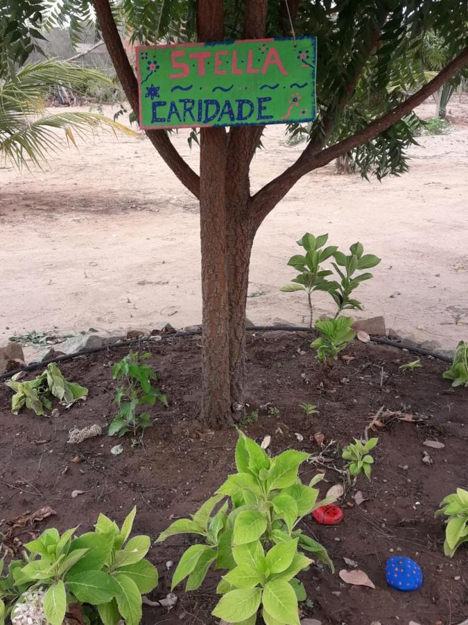 Chale Com Vista Privilegiada Pilões de Dentro Buitenkant foto